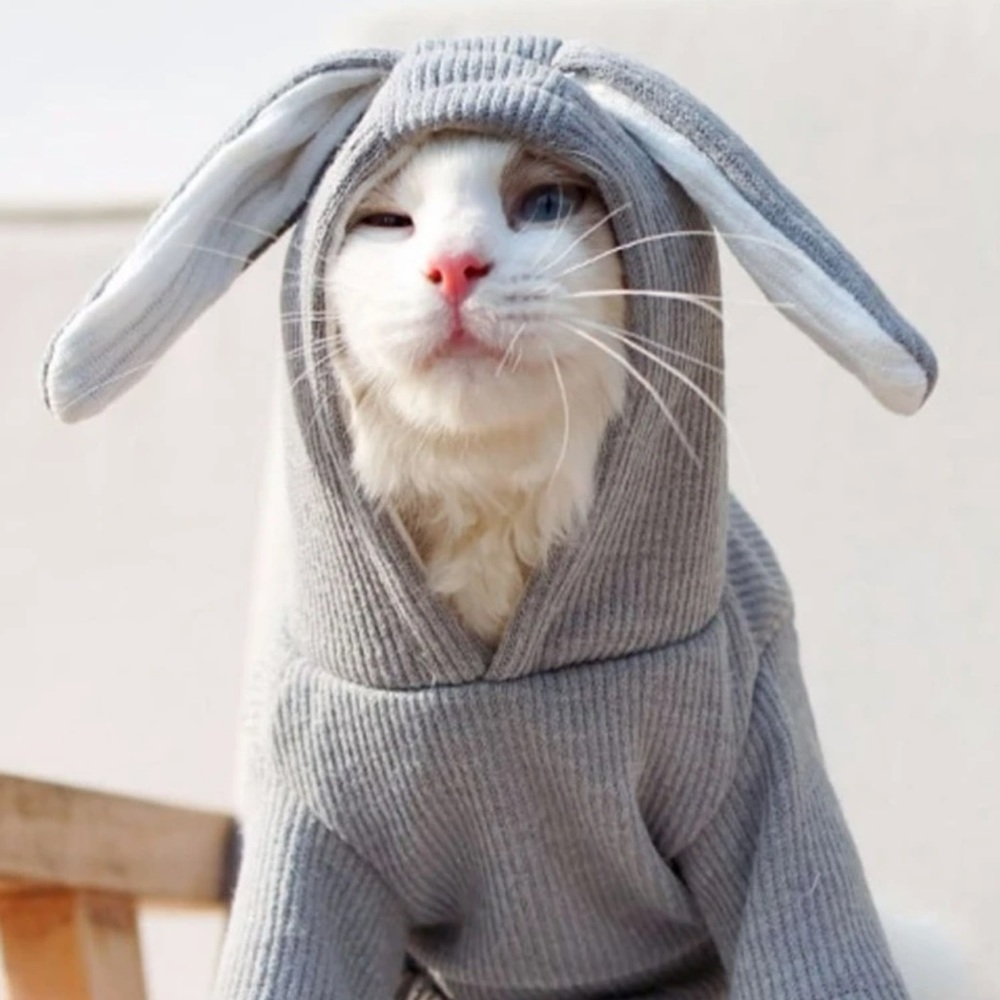 NEW ✨ Rabbit Ear Pet Costume - Picture 3 of 4
